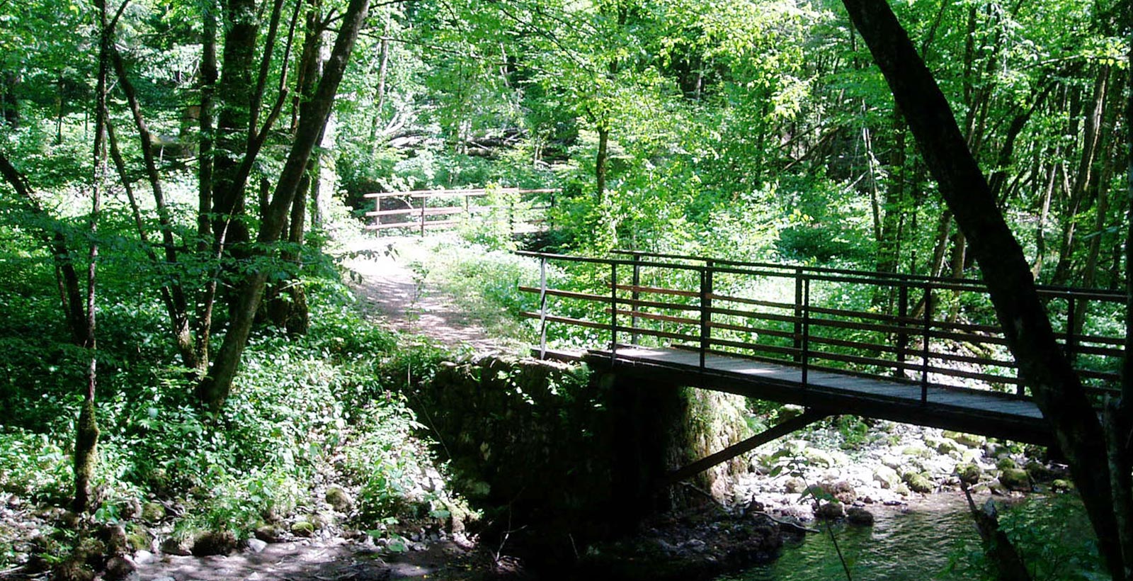 Etapa E1: Delnice – Skrad