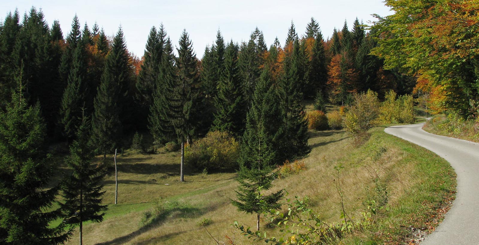 Etapa E4: Brod na Kupi – Tršće